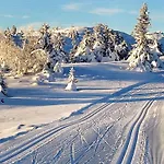 4 Star Holiday Home In Svingvoll *