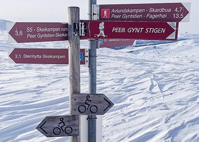 6 Person In Svingvoll